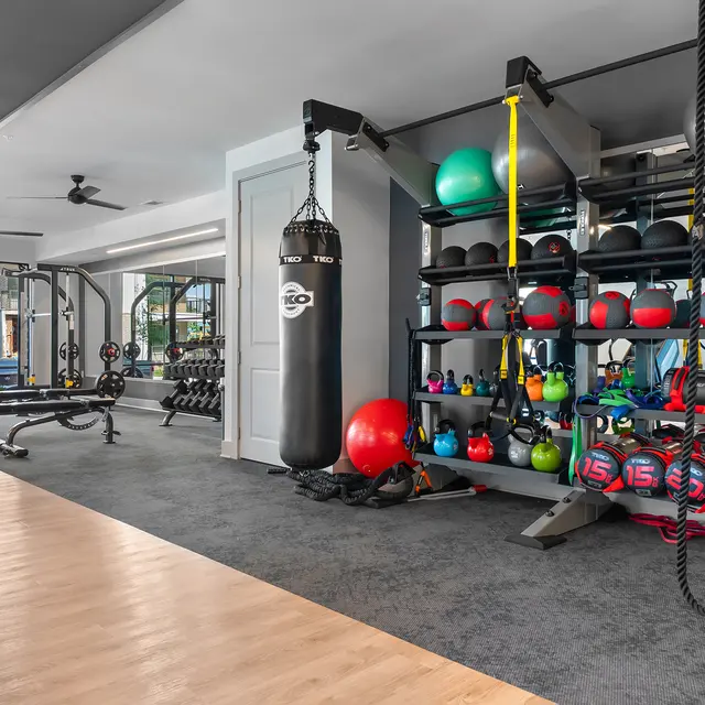 An interior view of a modern gym featuring various exercise equipment including weights, a punching bag, and colorful exercise balls organized on shelves.