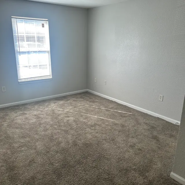An empty room with light gray walls, plush carpet, and a window with blinds allowing sunlight in.