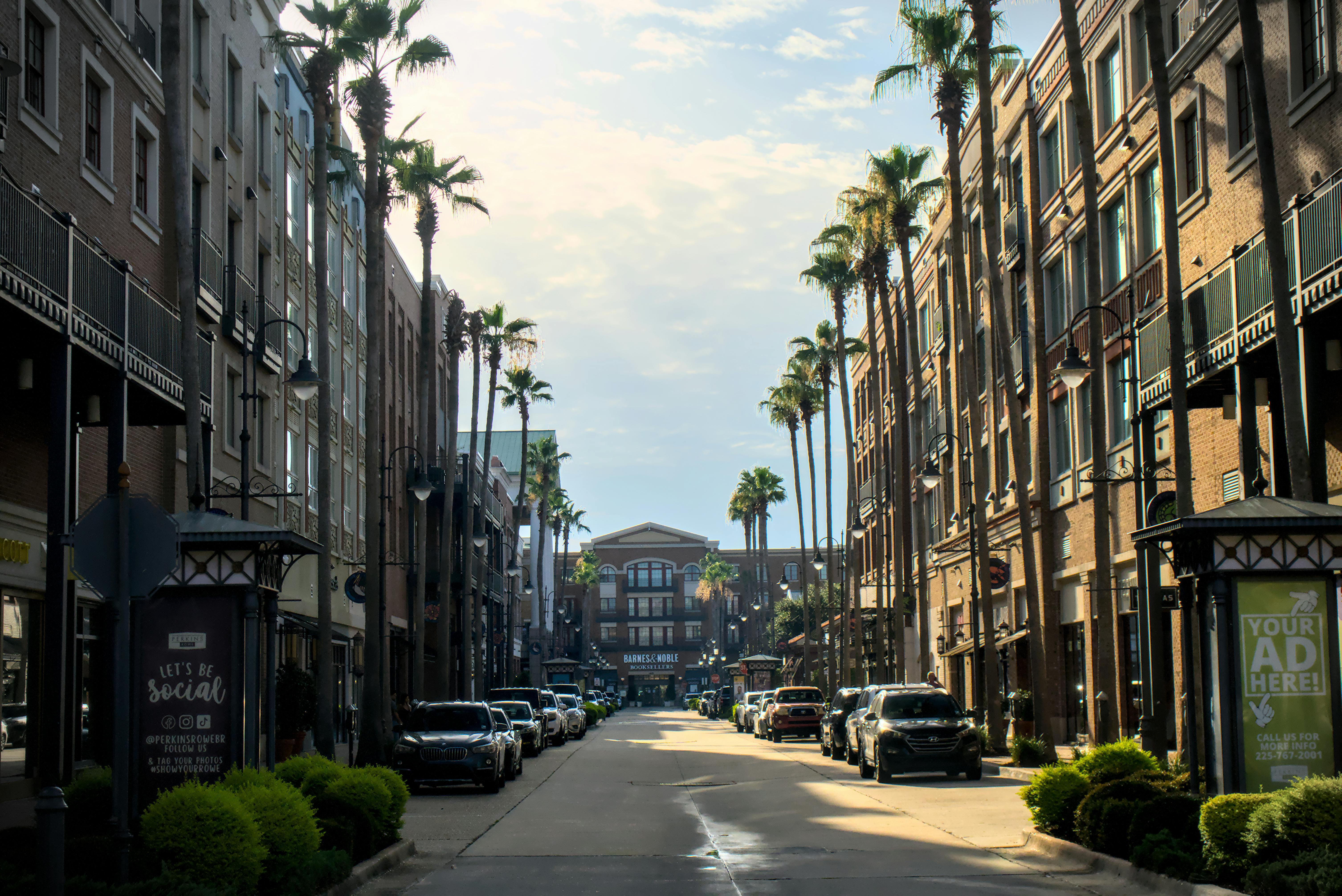 Urban Street with Palm Trees A serene street view lined with palm trees and modern buildings, showcasing parked cars and greenery in a vibrant urban setting.