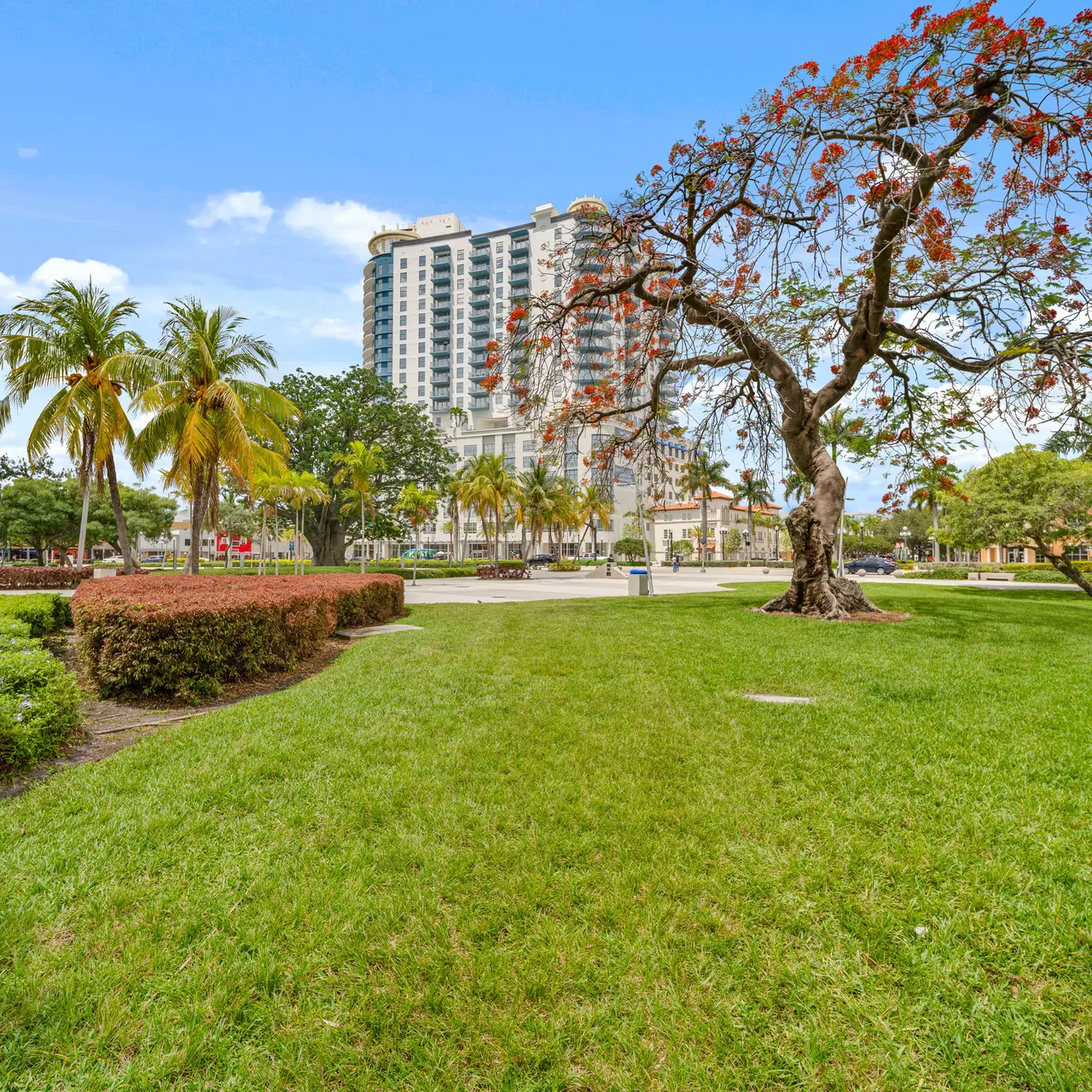 A vibrant urban park scene featuring grassy lawns, palm trees, and a tall building in the background.