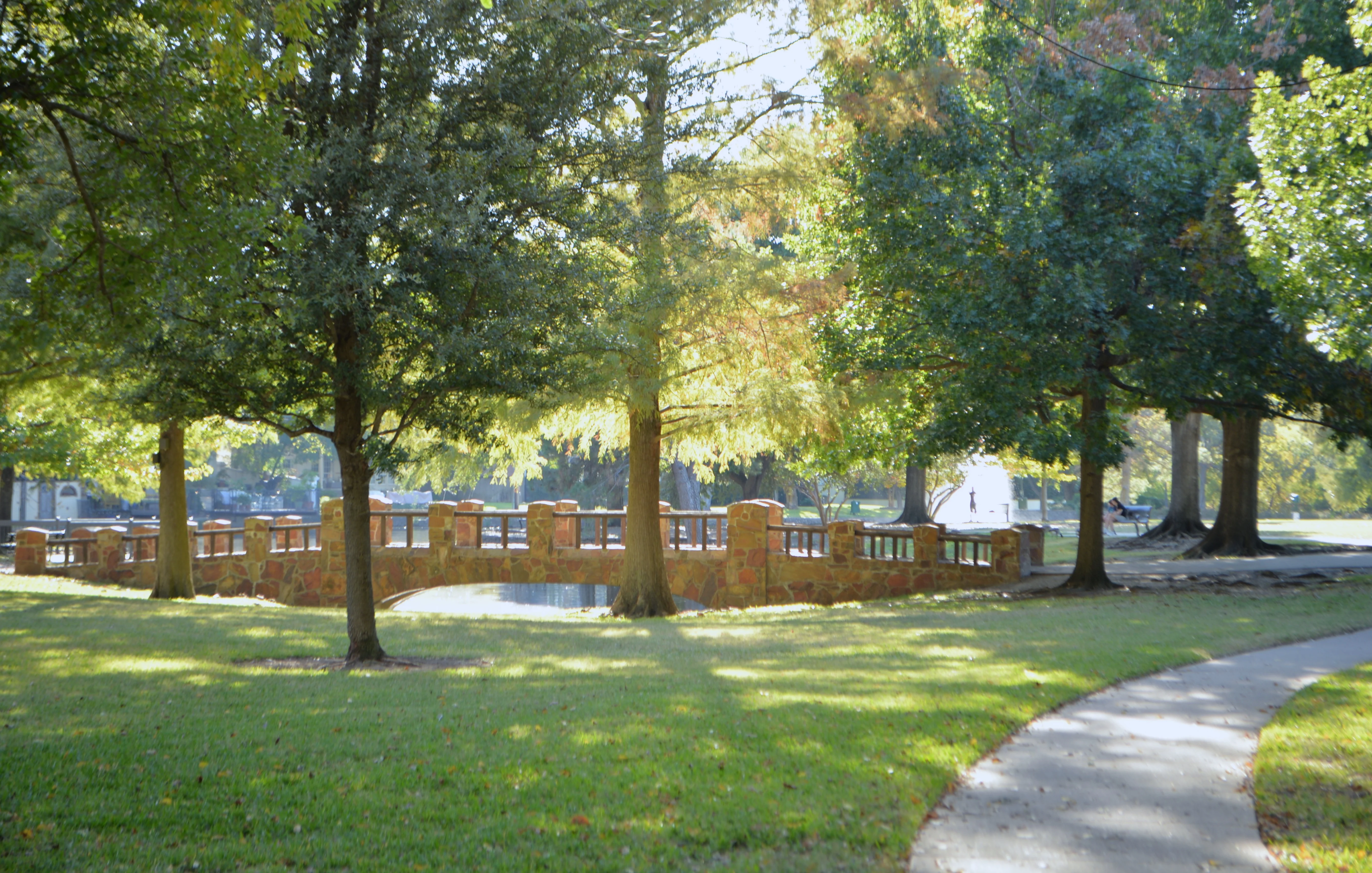 Serene Park Scene with Bridge A peaceful park scene showing a curved pathway leading to a stone bridge over a calm body of water, surrounded by trees with green foliage and some autumn colors.