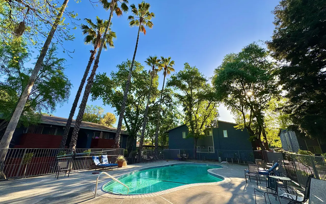 A serene pool area surrounded by tall palm trees and lush greenery, under a clear blue sky.
