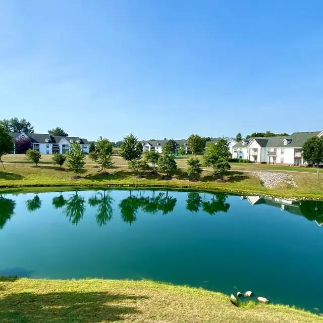 A serene pond reflecting the trees and buildings nearby, surrounded by a grassy area and blue sky.