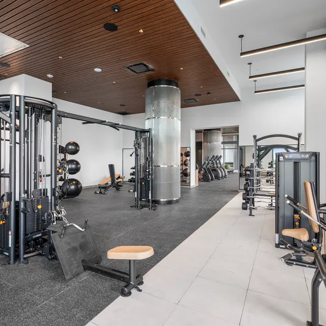 Interior view of a modern gym featuring various workout equipment including weight machines and cardio machines, with a sleek design and wooden ceiling.