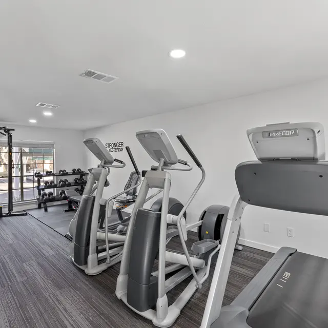 Interior view of a modern gym featuring exercise machines, weights, and large windows