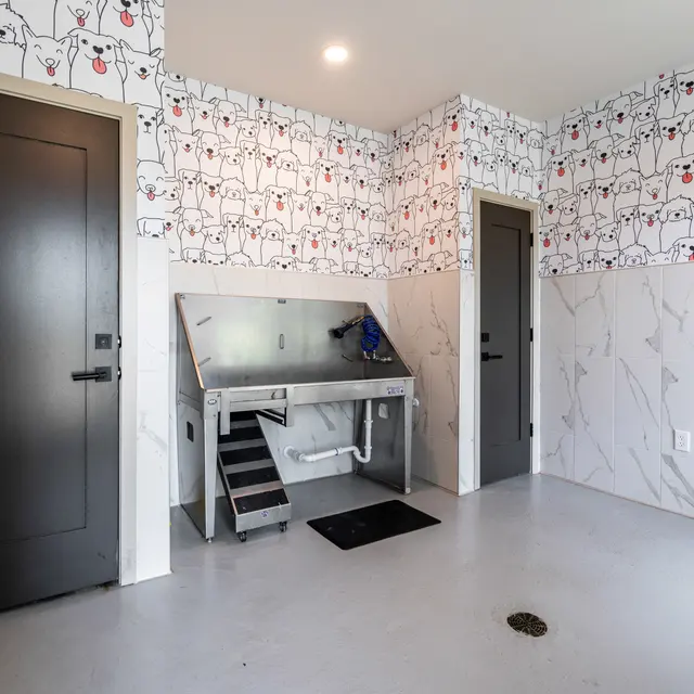 A modern dog washing room with a pet washing station, featuring a metal counter, steps, and black floor mat. The walls are adorned with a whimsical black and white wallpaper of cartoon dogs with red accents. There are two black doors and a light-colored tiled wall on one side.