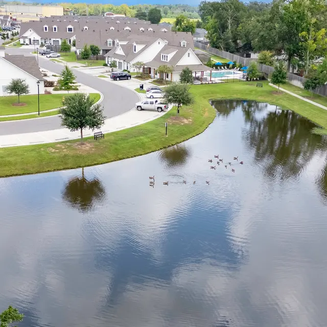 Aerial View of Pond and Apartment Complex An aerial view of an apartment complex with a small pond, surrounded by green lawns and trees. There are several ducks swimming in the pond and vehicles parked nearby.