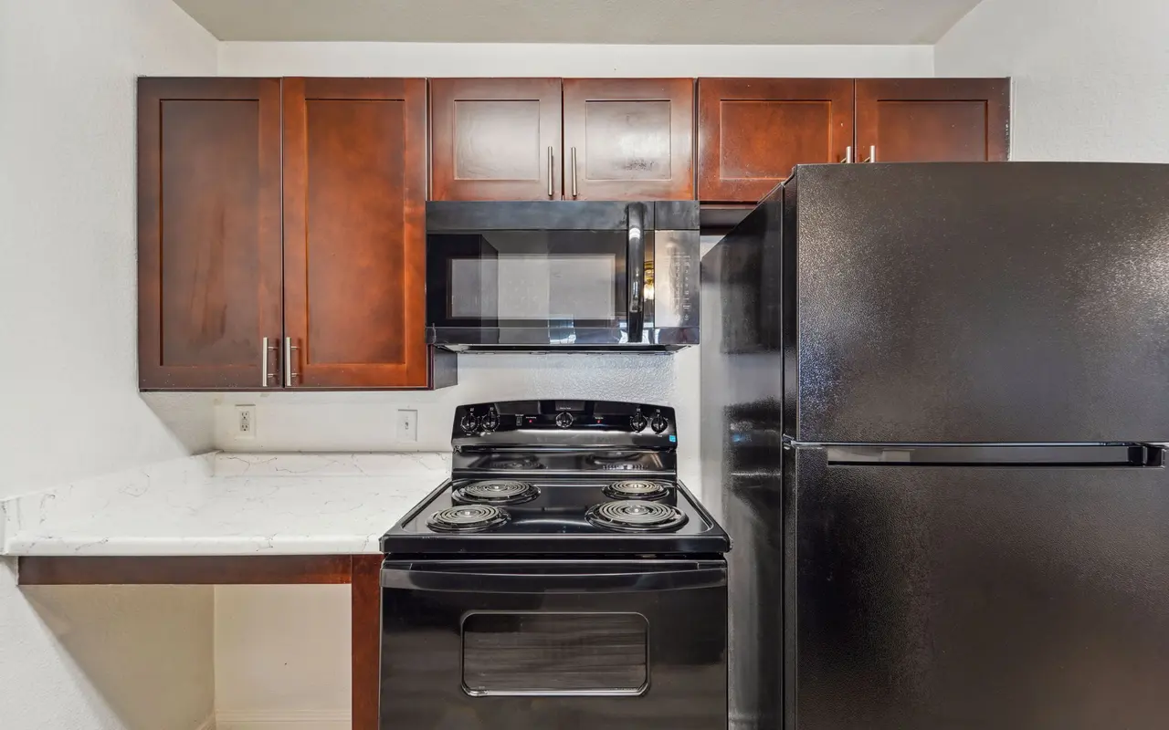 A compact kitchen featuring black appliances including a stove, microwave, and refrigerator, with dark wooden cabinetry and a light-colored countertop.