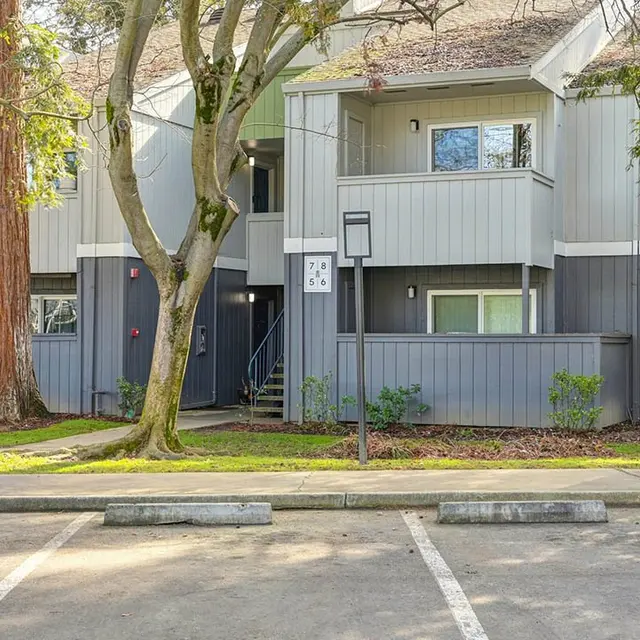 Exterior view of a multi-unit apartment complex surrounded by trees.