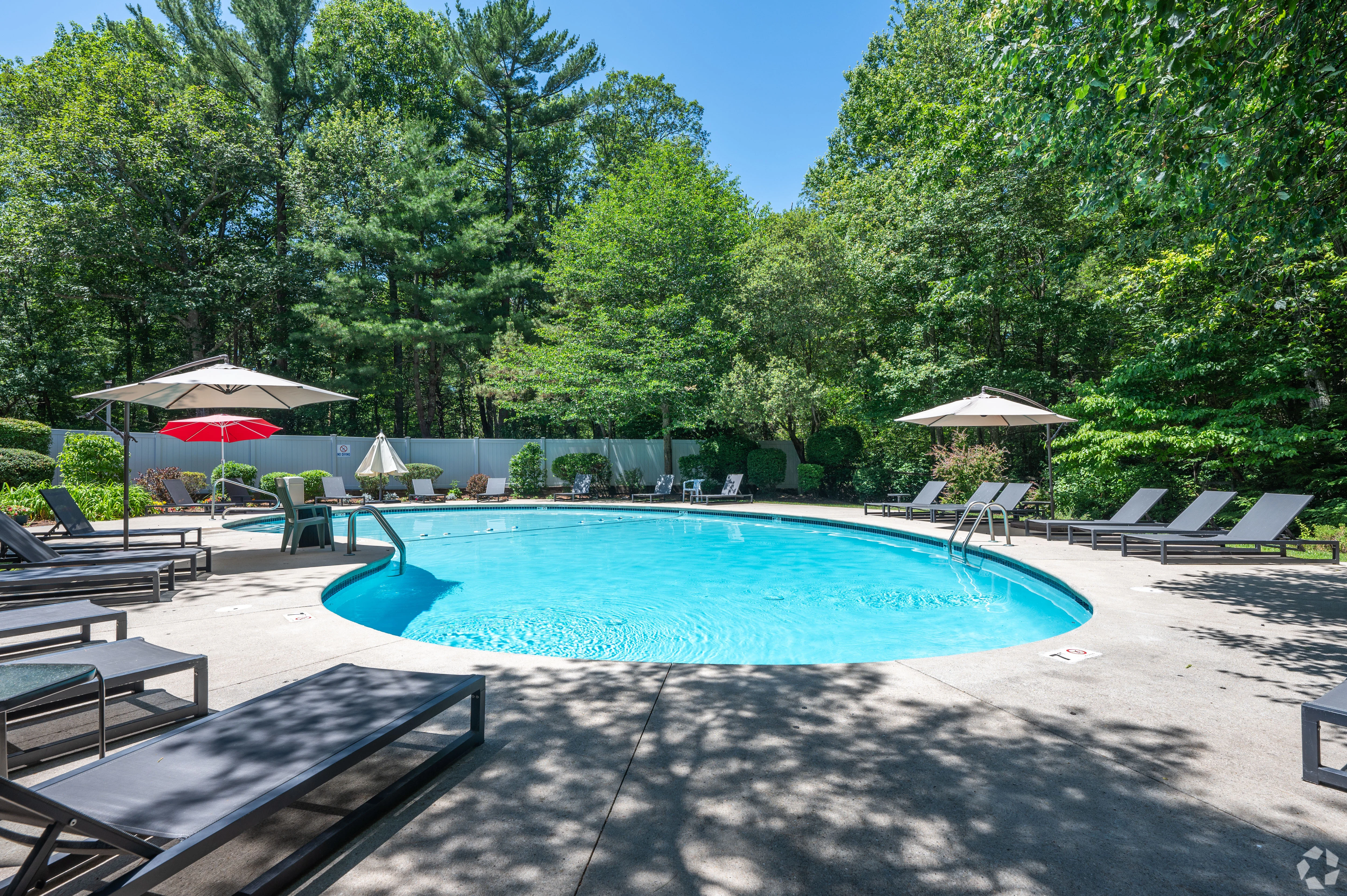 Relaxing Swimming Pool Area A clear swimming pool surrounded by loungers and umbrellas in a lush green environment.