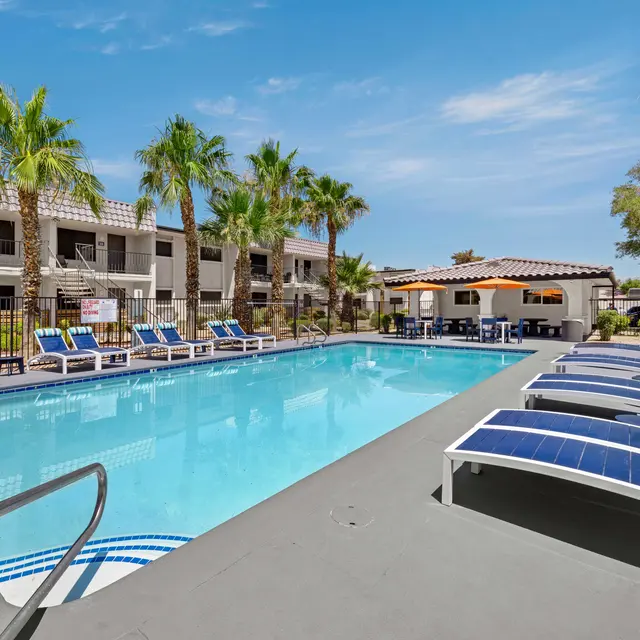 Outdoor swimming pool surrounded by lounge chairs and palm trees, with buildings in the background.