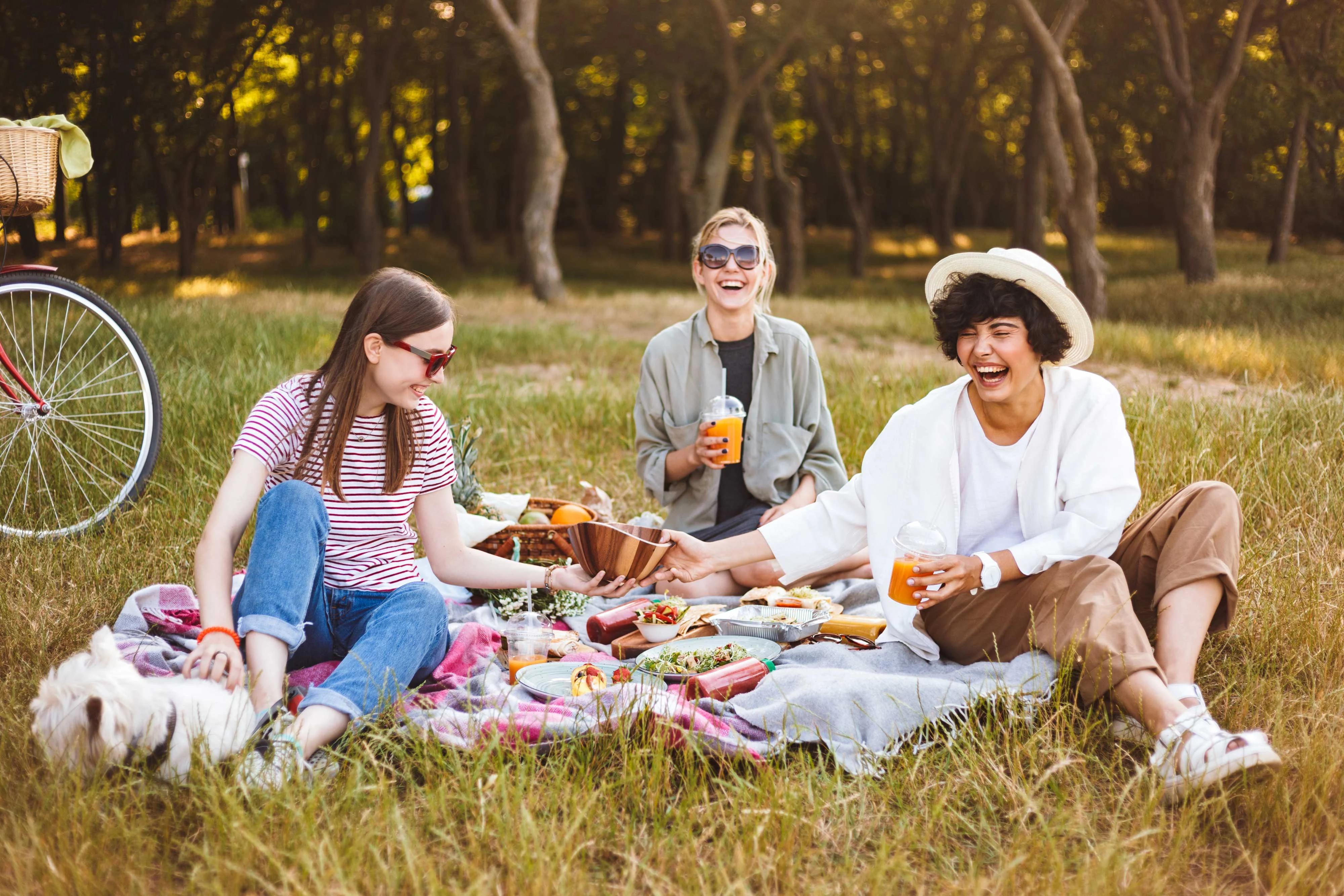 Sunny Day Picnic with Friends Three friends enjoying a picnic in a grassy area, surrounded by food and drinks. One is handing a bowl to another while the third smiles. A small dog is nearby, and there is a bicycle in the background.