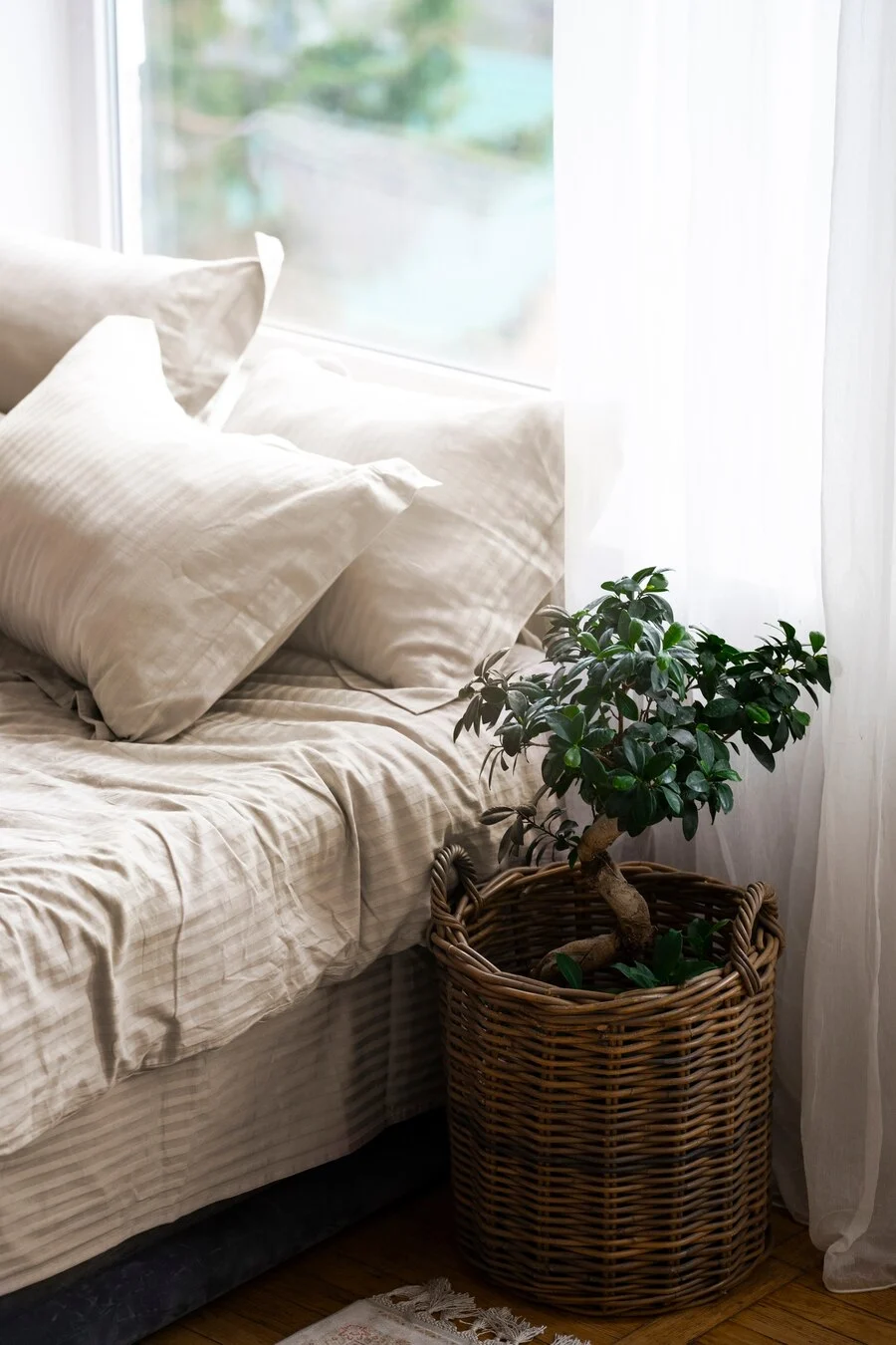 A cozy corner of a bedroom featuring a neatly made bed with beige-striped bedding and fluffy pillows. A small potted plant in a woven basket sits next to the bed, with sunlight filtering through a nearby window, illuminating the space.