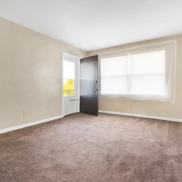 A spacious, empty room features beige walls, plush brown carpet, and a large window with sheer curtains. A door on the left leads outside, and natural light fills the space, creating an open and inviting atmosphere.