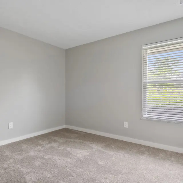 Empty room with gray walls, a window with blinds, and carpeted flooring, creating a bright and spacious atmosphere.