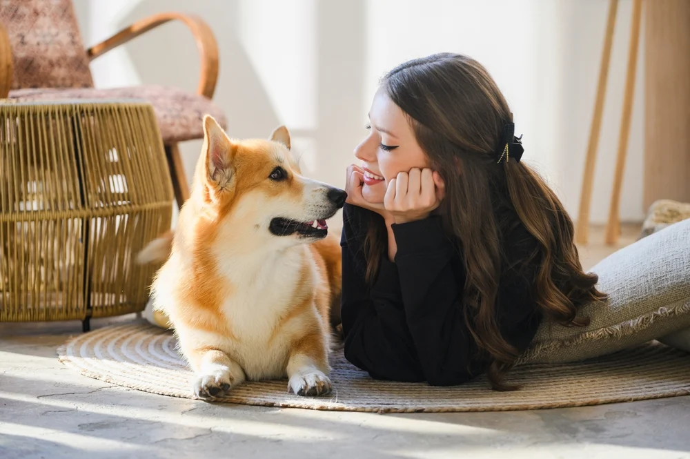 Joyful Bonding with a Corgi A woman lying on a rug next to a corgi dog, engaging in a joyful moment together. The setting has natural light pouring in, highlighting the warm atmosphere.