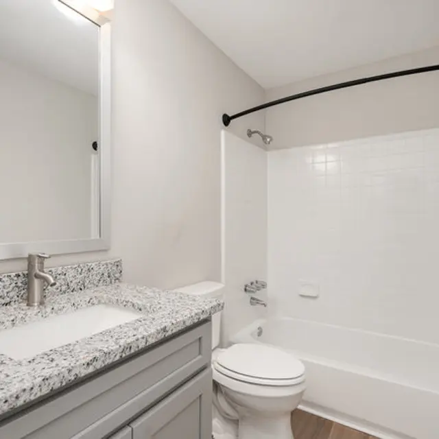 A modern bathroom featuring a white bathtub, a gray vanity with a granite countertop, and a large mirror. The walls are painted light and the floor has wood-like tiles.