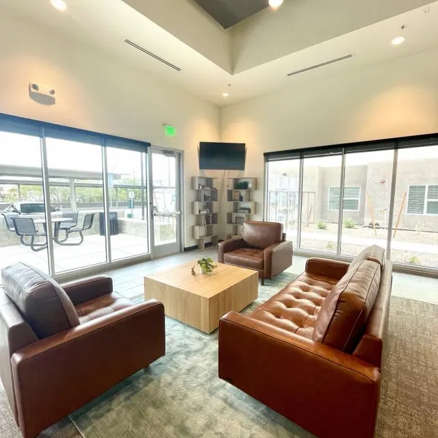 Modern Living Area Design A modern living area with two brown leather sofas, a light wooden coffee table, and large windows providing natural light. A green and grey rug sits under the coffee table, and there is a television mounted on the wall.