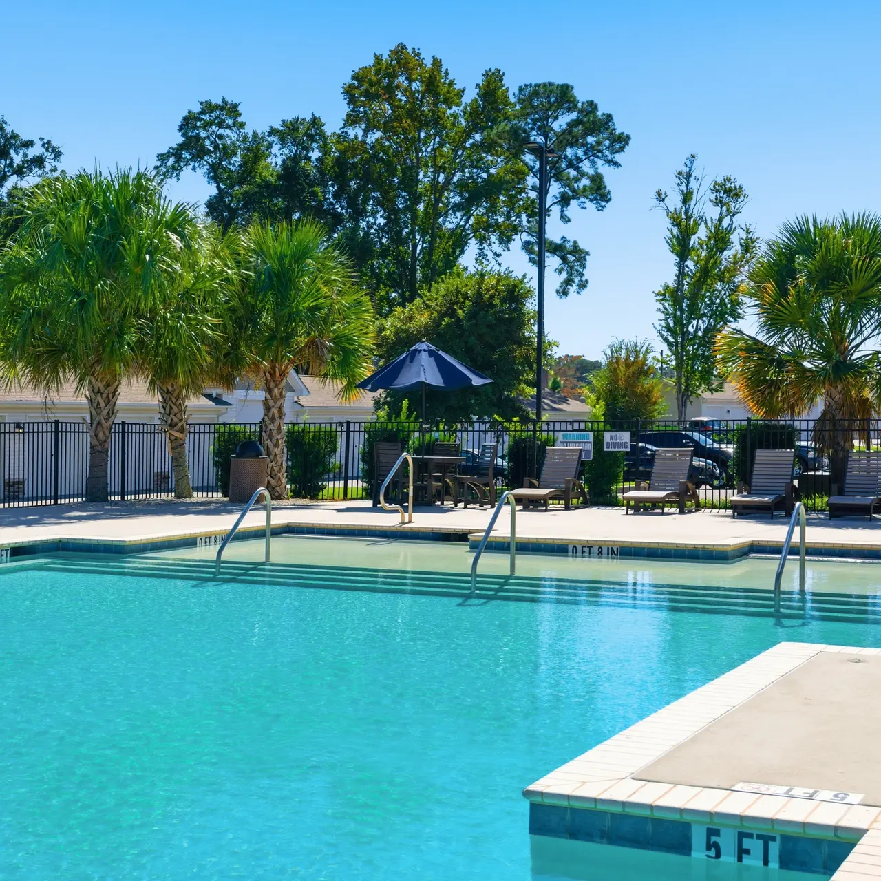 A clear swimming pool surrounded by lounge chairs and palm trees under a blue sky.