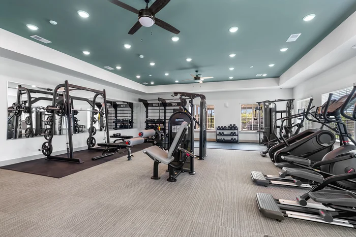 A spacious modern gym with various workout equipment including weight machines, a bench press, and cardio machines, featuring good lighting and a sleek design.