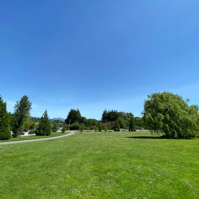 A wide open grassy field with trees and a clear blue sky in the background.