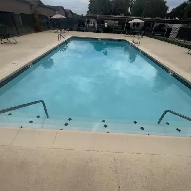 Calm Swimming Pool Scene A clear swimming pool with ladders on either side, surrounded by a concrete deck and a few palm trees in the background. The sky is overcast, creating a calm atmosphere.