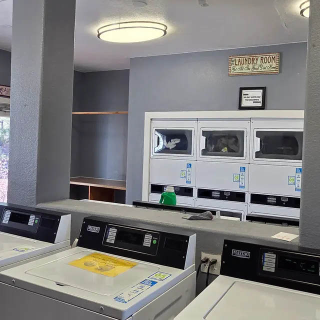 Interior view of a laundry room featuring several washing machines and dryers against a gray wall.