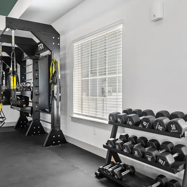 An interior view of a modern home gym featuring exercise equipment and dumbbells