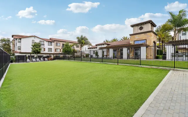 A spacious green lawn area in a residential community surrounded by buildings and palm trees under a clear blue sky.