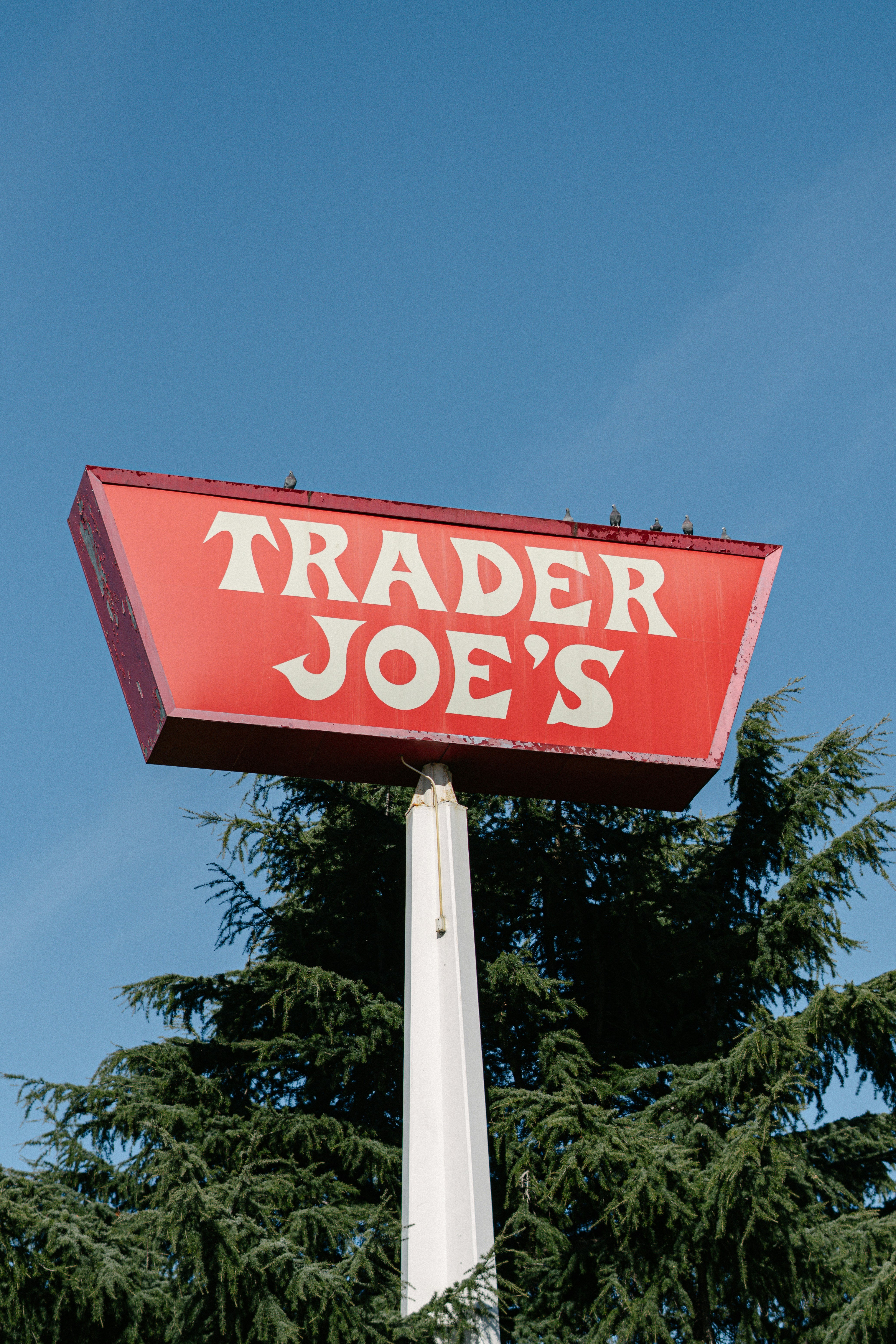 A red sign reading 'TRADER JOE'S' against a clear blue sky, with green trees in the background.
