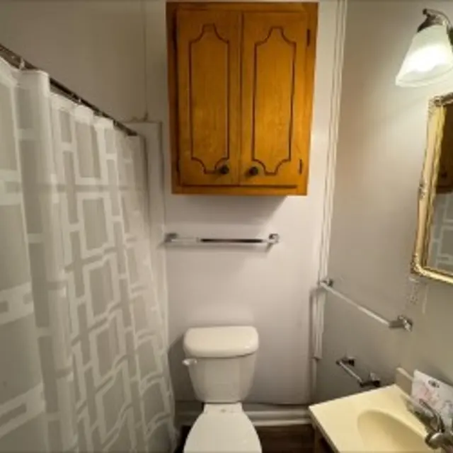 A small bathroom featuring a toilet, a shower with a patterned curtain, a wall-mounted mirror, and a wooden cabinet above the toilet.