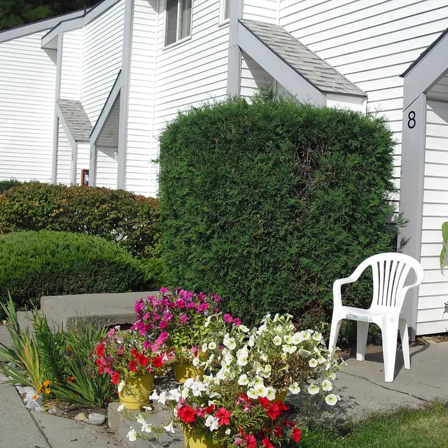 Welcoming Residential Landscape A row of houses with manicured bushes and colorful flower beds in front. A white chair is positioned next to the flowers, creating a welcoming outdoor space.