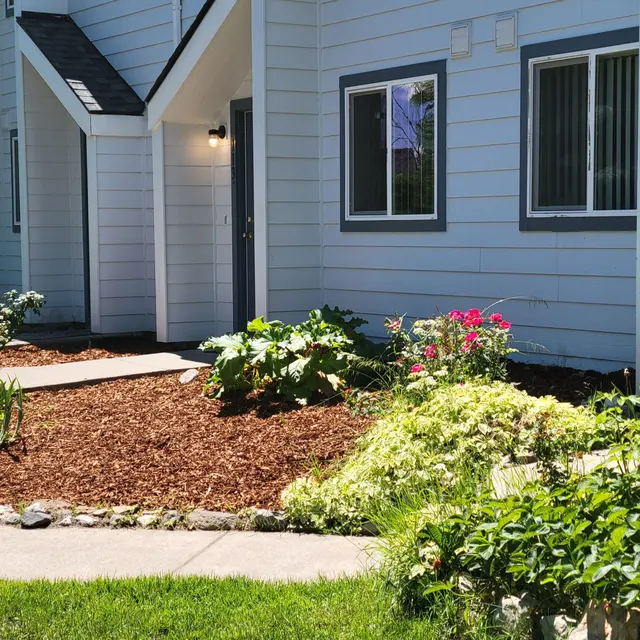 Charming Front Yard Landscape A front yard featuring flower beds, bushes, and a well-maintained pathway. The house has a light blue exterior with white trim and large windows.