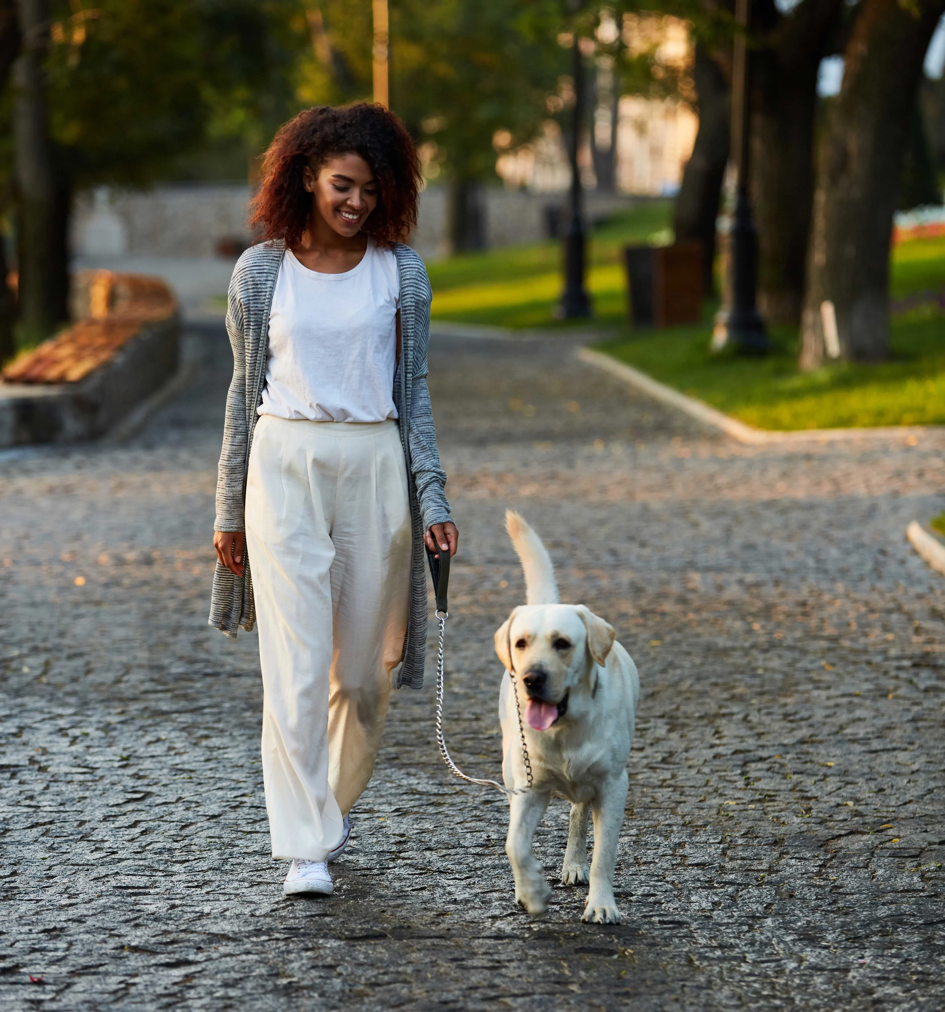 Walking the Dog in the Park A smiling woman with curly hair walks a yellow Labrador Retriever on a leash along a cobblestone path lined with trees.