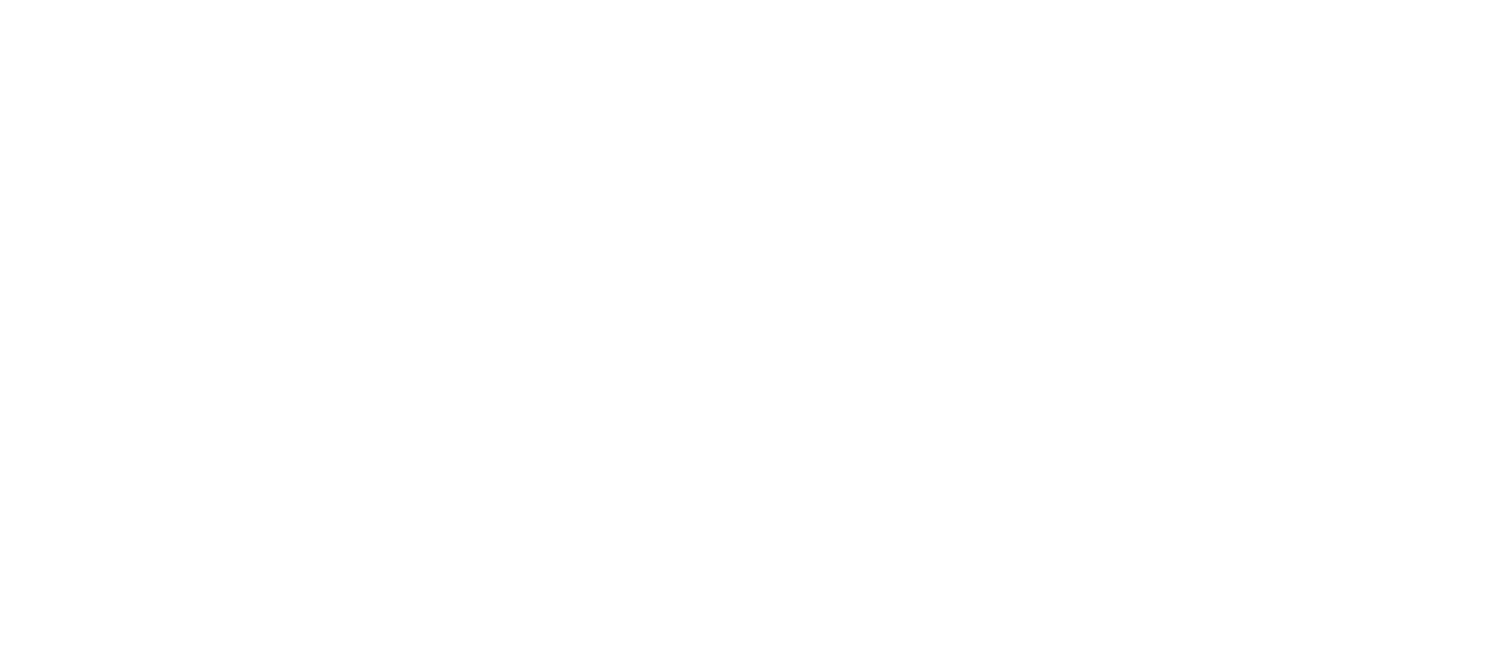 SABINE Logo Logo of SABINE in a modern and elegant font