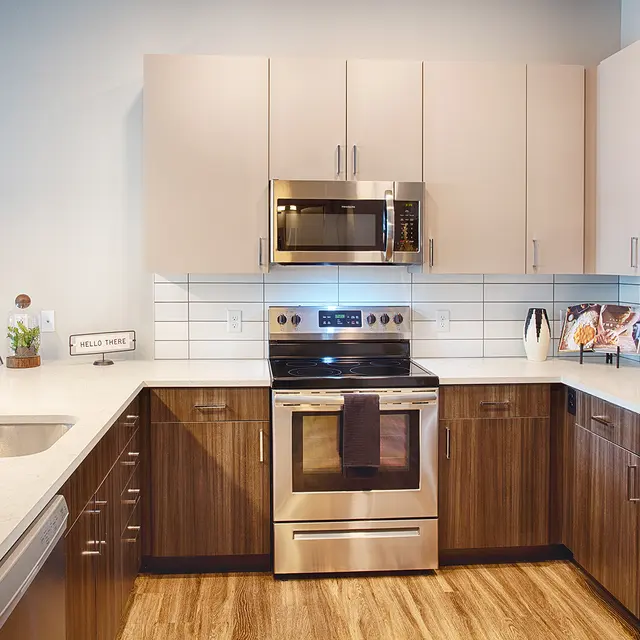 Modern kitchen with stainless steel appliances, wooden cabinets, and a sleek countertop, featuring a sink and decorative plant.