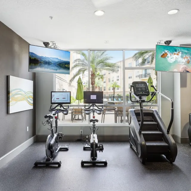 Gym, Fitness, Exercise