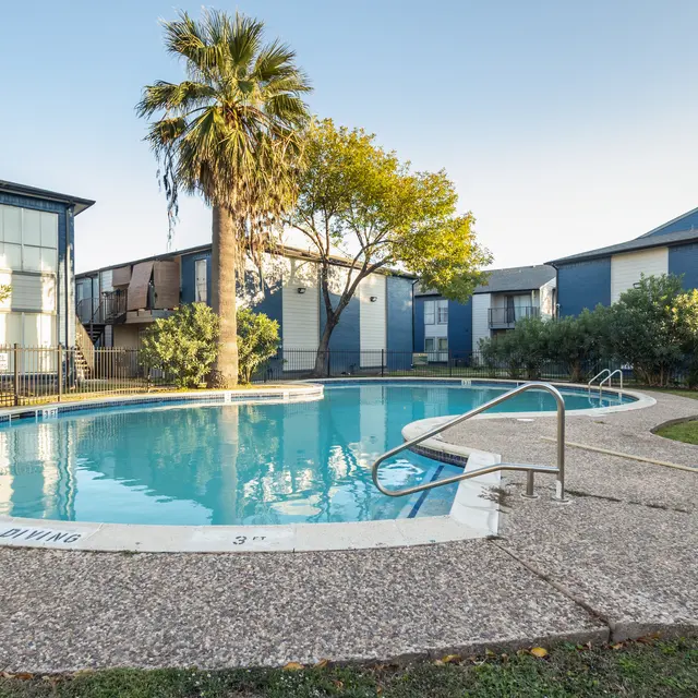 A swimming pool surrounded by residential buildings and landscaping, featuring a palm tree and a walkway.
