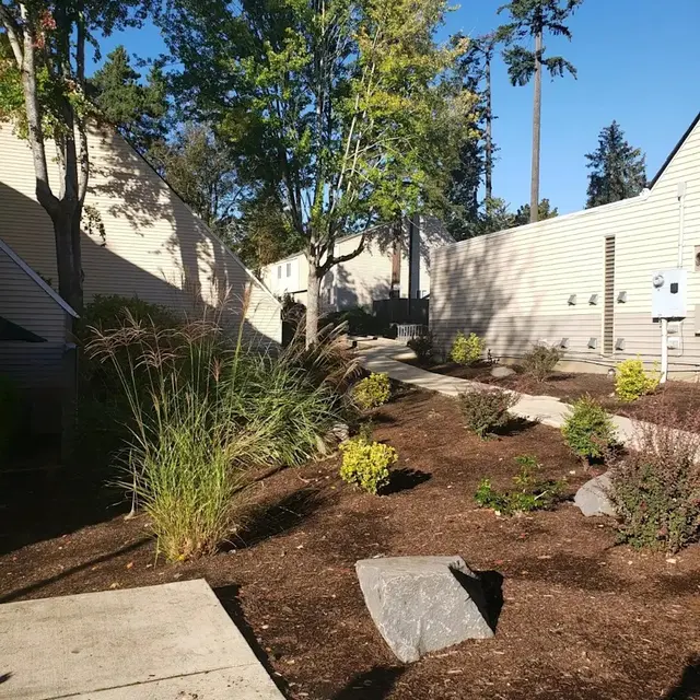 A landscaped pathway with shrubs, grasses, and rocks, bordered by buildings under a clear blue sky.