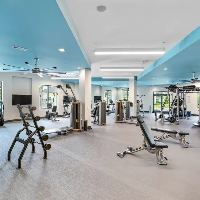 Spacious Modern Gym Interior A spacious modern gym featuring a variety of exercise equipment including weight machines, benches, and free weights. The room has large windows allowing natural light to enter and a blue ceiling that complements the decor.