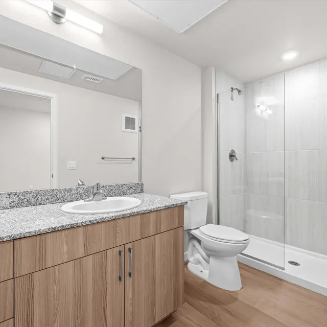 A modern bathroom featuring a shower, toilet, and dual sink vanity with wooden cabinetry and a granite countertop.