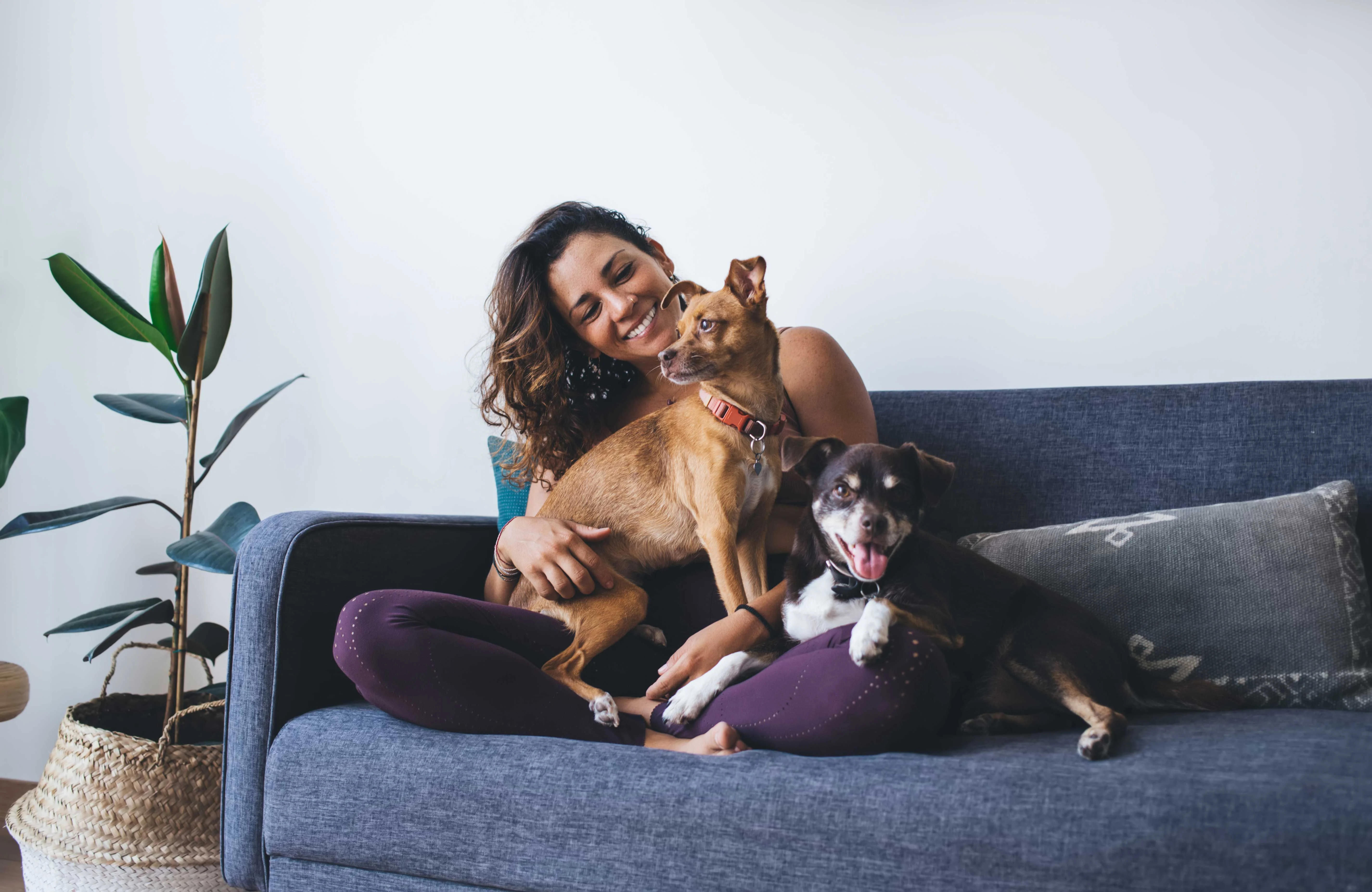 A woman sitting on a couch with two dogs. One dog is perched on her lap, while the other sits beside her. They are in a bright, cozy living space with a plant in the background.