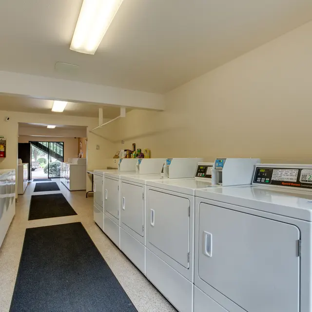 Laundry Room Interior Interior view of a laundry room with several washing machines and dryers lined up against the wall, a vending machine visible in the corner, and a carpeted floor.