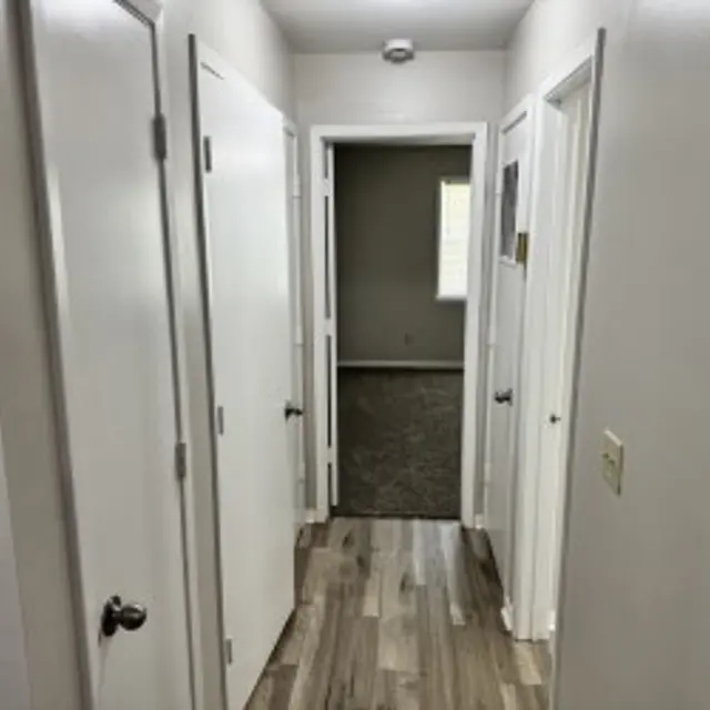 A narrow hallway featuring several closed doors on both sides and a carpeted area at the end.