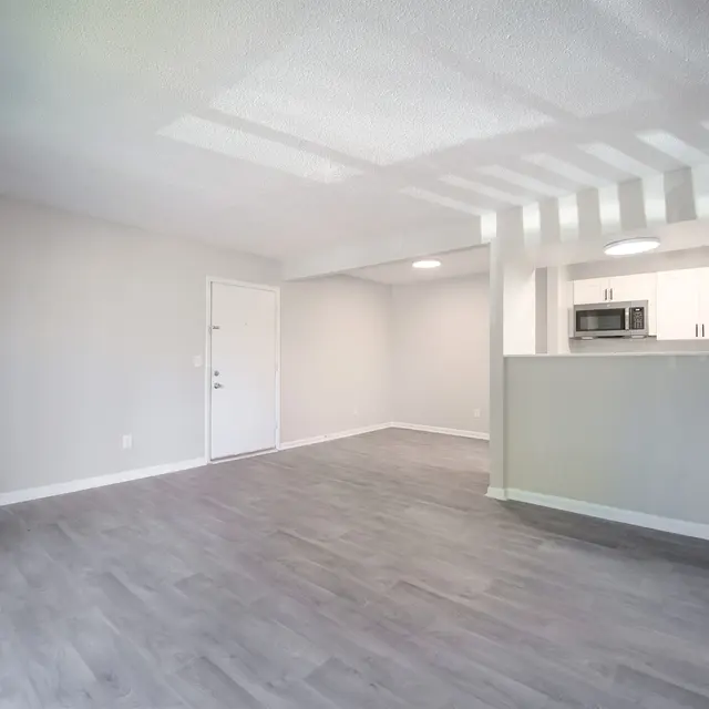 A spacious, modern apartment living room with grey walls, grey floor, and a view of a kitchen area in the background.