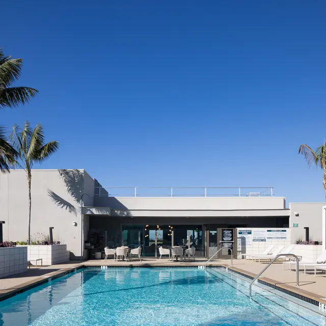 A rooftop pool with lounge chairs and palm trees, surrounded by a clear blue sky.