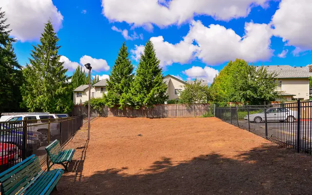A sunny park area surrounded by trees and fence, featuring a sandy ground and several benches.
