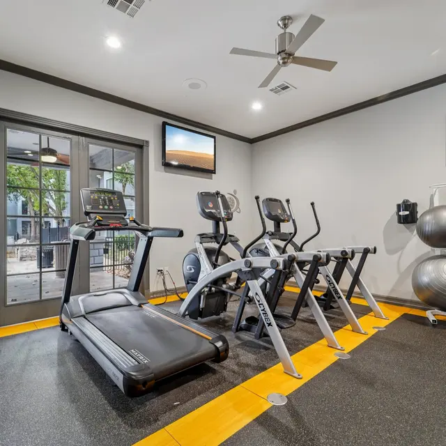 A modern home gym featuring a treadmill, elliptical machine, exercise balls, and a wall-mounted TV. Natural light comes through the windows, and the flooring combines rubber and wood.
