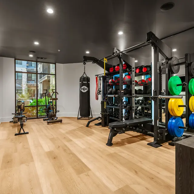 A modern gym interior featuring weightlifting equipment, a punching bag, and large windows allowing natural light to enter.