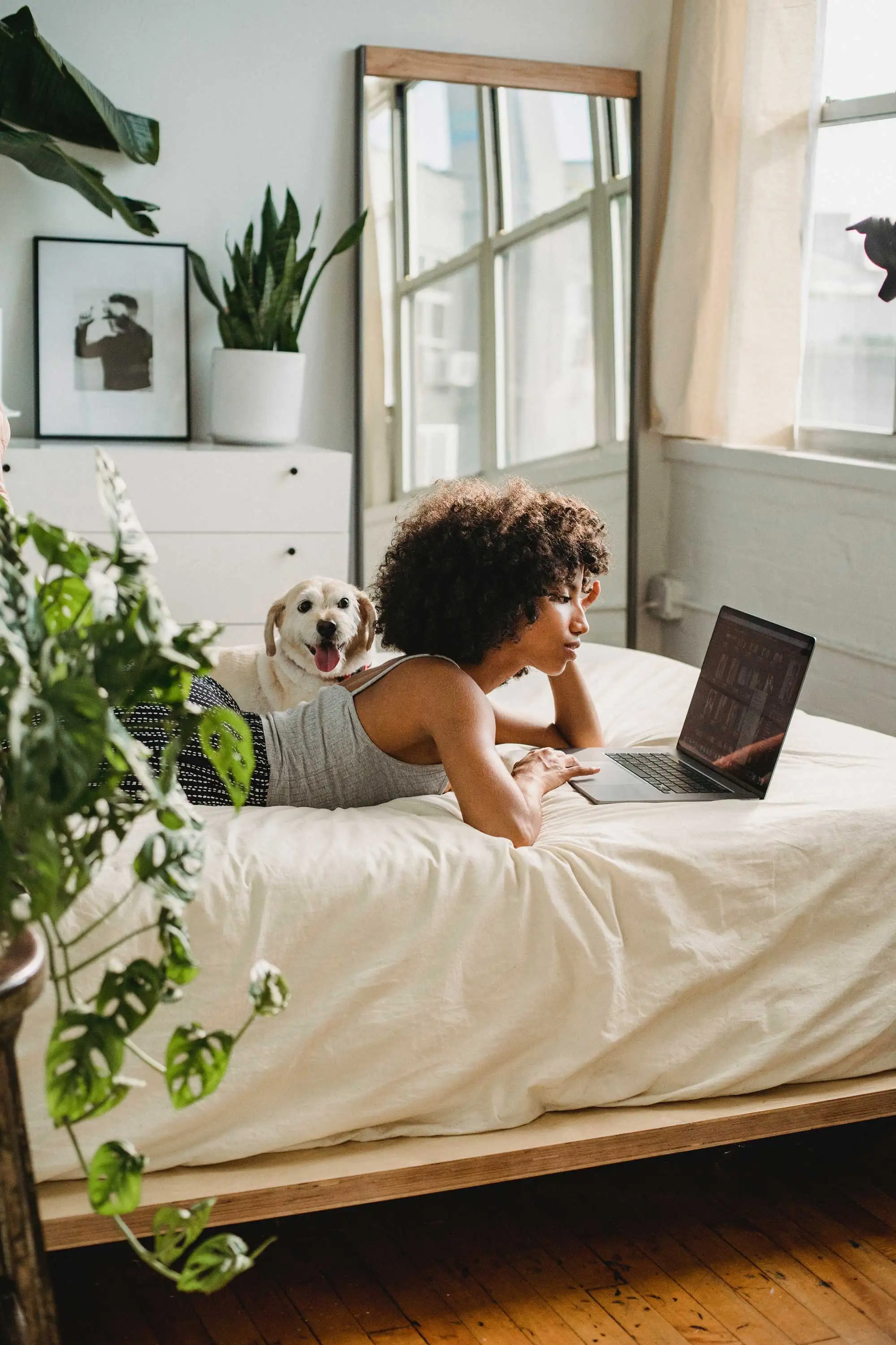 A woman lying on a bed using a laptop with a dog nearby, surrounded by indoor plants and natural light from a window.